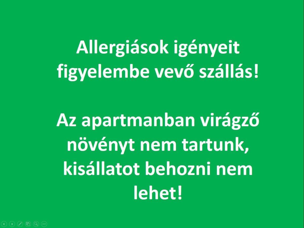 Smart Business Apartman Miskolc Eksteriør billede